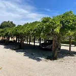 La Valle - By Podere Arundineto