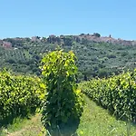 La Valle - By Podere Arundineto 农家乐 *