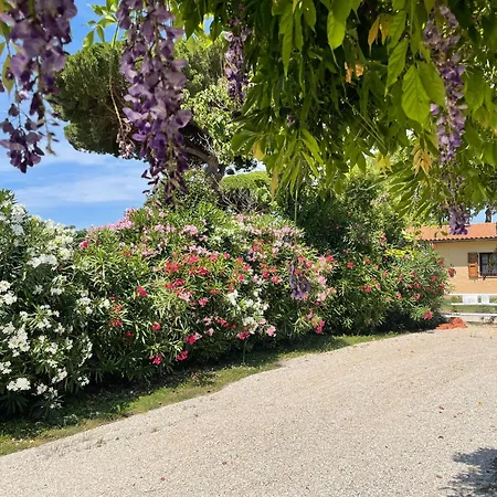 La Valle - By Podere Arundineto Farm stay Castagneto Carducci
