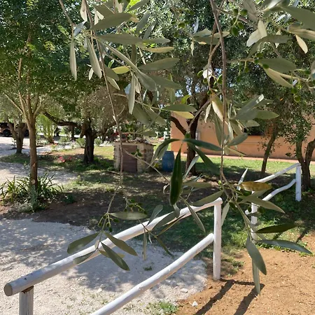 Farm stay La Valle - By Podere Arundineto *