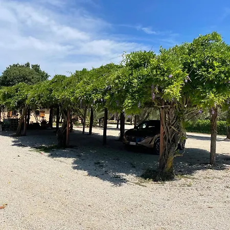 La Valle - By Podere Arundineto