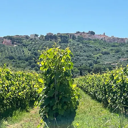 La Valle - By Podere Arundineto Farm stay *